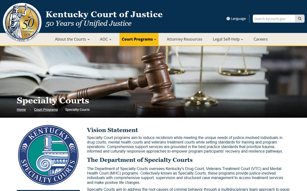 Martin County criminal court records specialty courts program